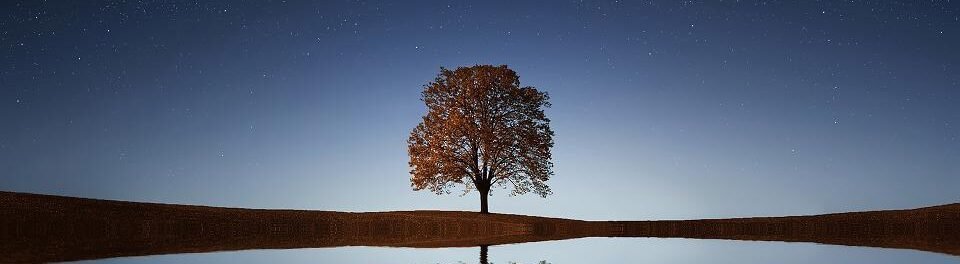 Freedom Meditation .me